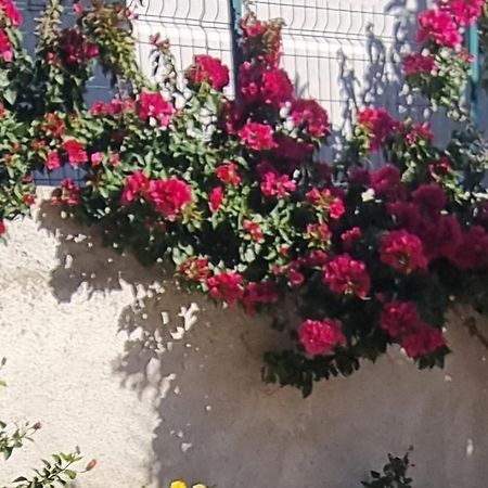 Vila Megi-Rent Room Vlora Kültér fotó