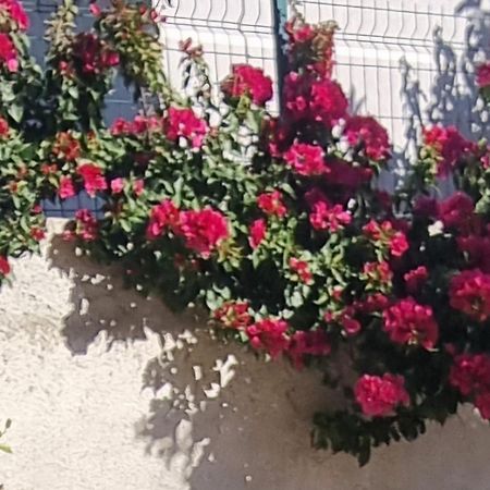 Vila Megi-Rent Room Vlora Kültér fotó