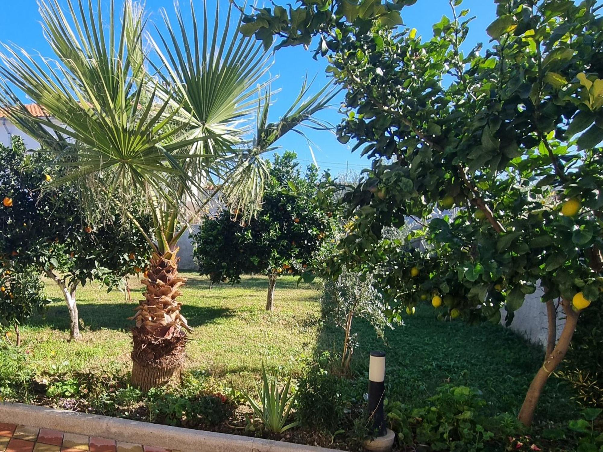 Vila Megi-Rent Room Vlora Kültér fotó